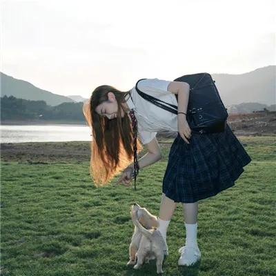 飞贼黑猫