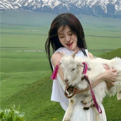 爱情败犬向前冲